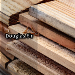 Douglas Fir | $3.00 Per Board Foot