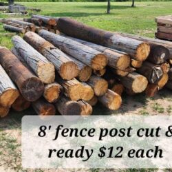 Fence Posts